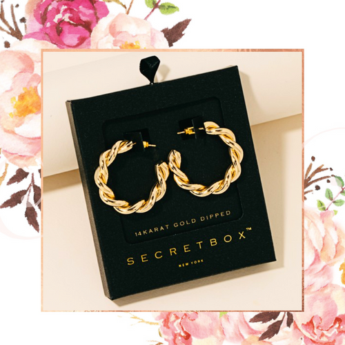 Secret Box Braided Hoop Earrings